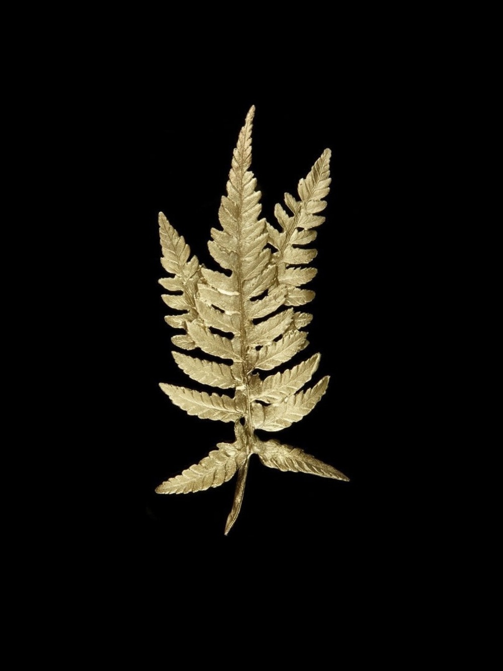 Michael Michaud • Fern Brooch